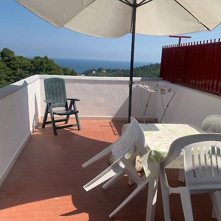 Villa Pineta San Menaio Εξωτερικό φωτογραφία