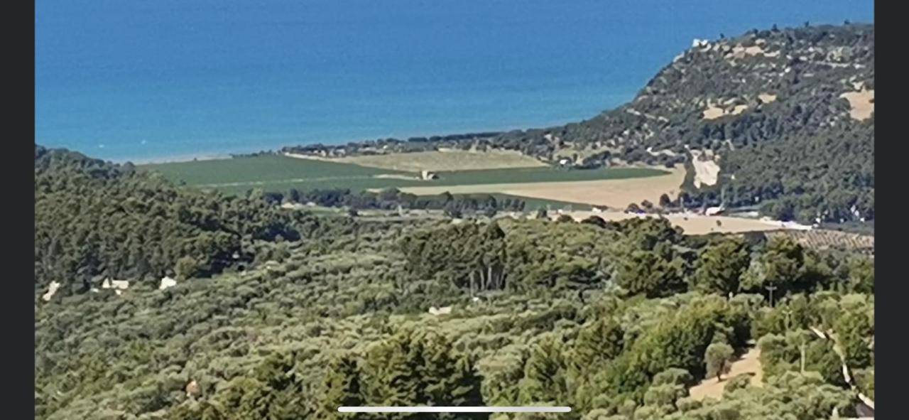 Villa Pineta San Menaio Εξωτερικό φωτογραφία