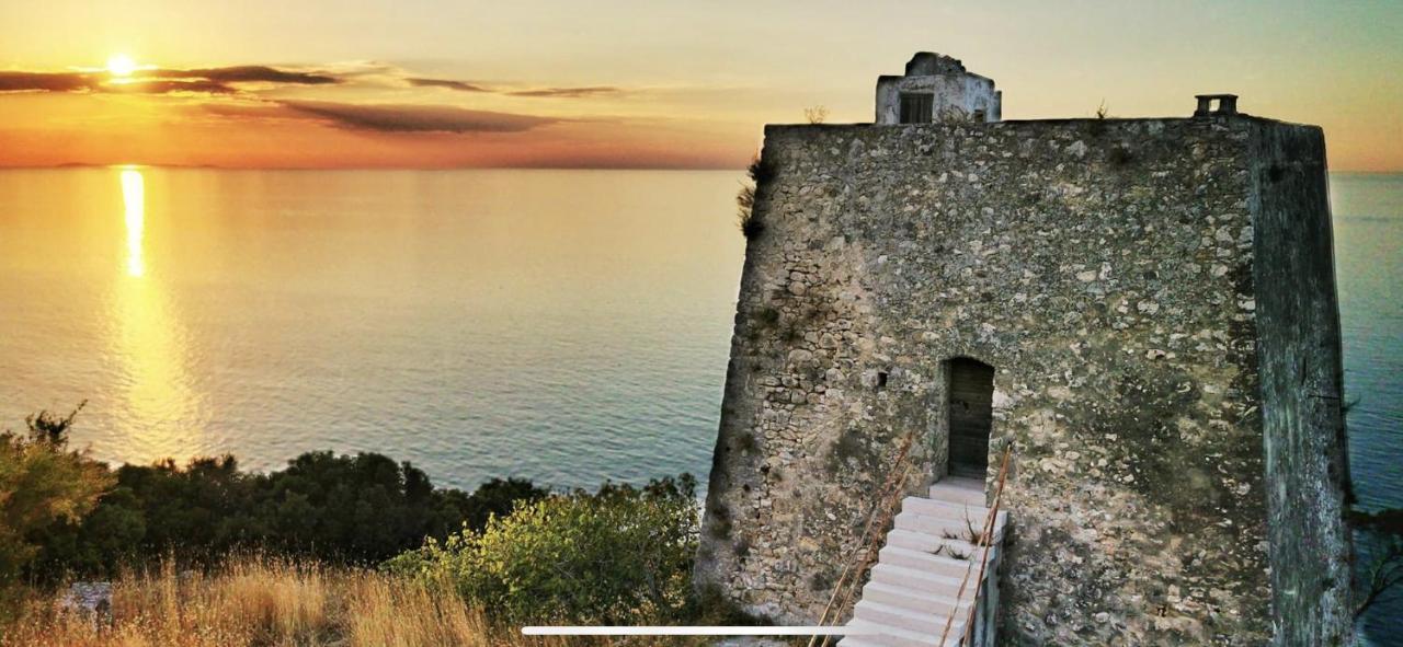 Villa Pineta San Menaio Εξωτερικό φωτογραφία