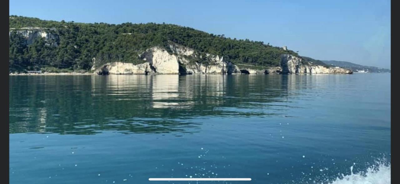 Villa Pineta San Menaio Εξωτερικό φωτογραφία