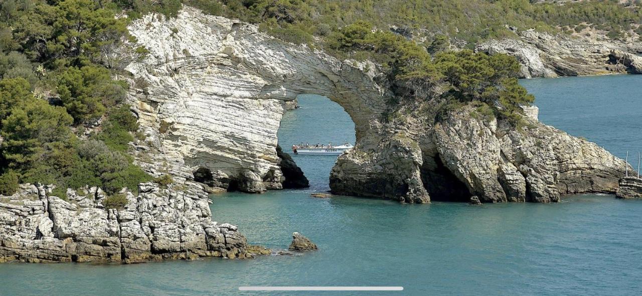 Villa Pineta San Menaio Εξωτερικό φωτογραφία