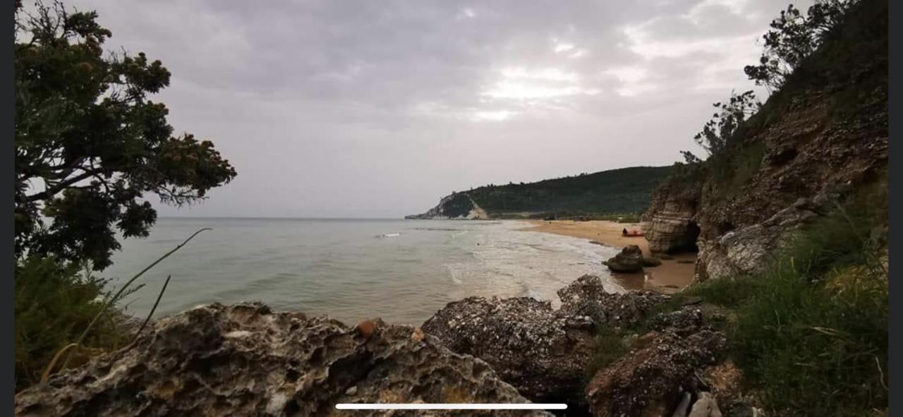 Villa Pineta San Menaio Εξωτερικό φωτογραφία