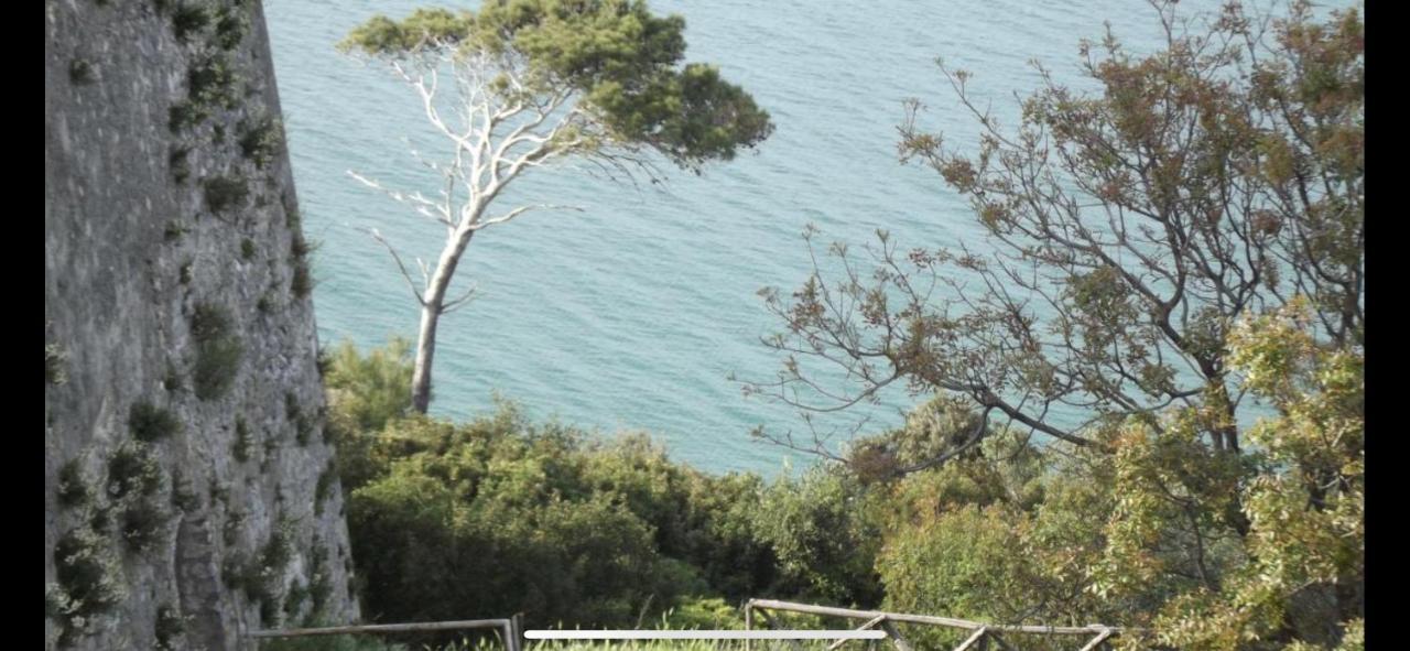 Villa Pineta San Menaio Εξωτερικό φωτογραφία